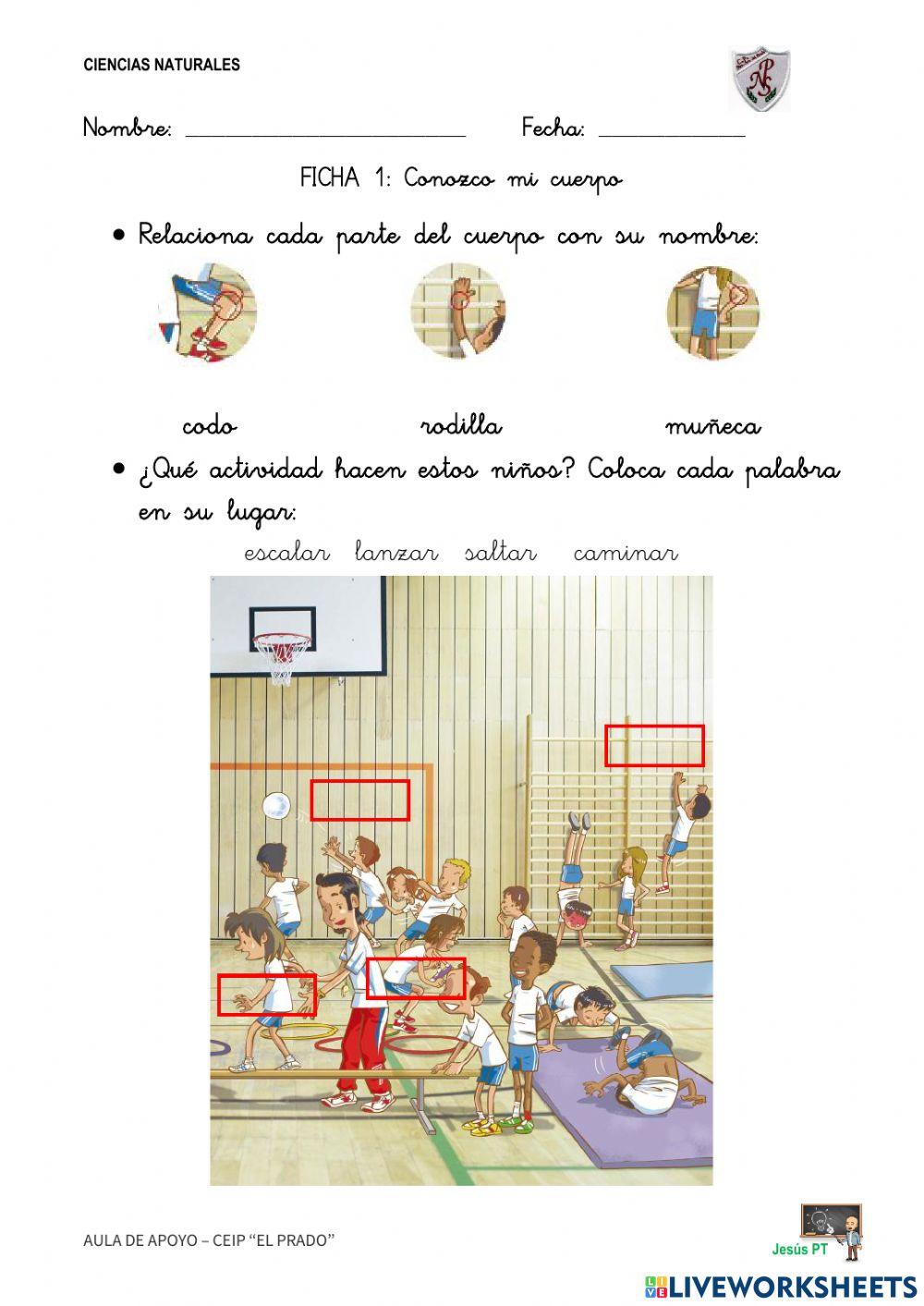 Ficha 1 Conozco mi cuerpo-1EP-Ciencias Naturales