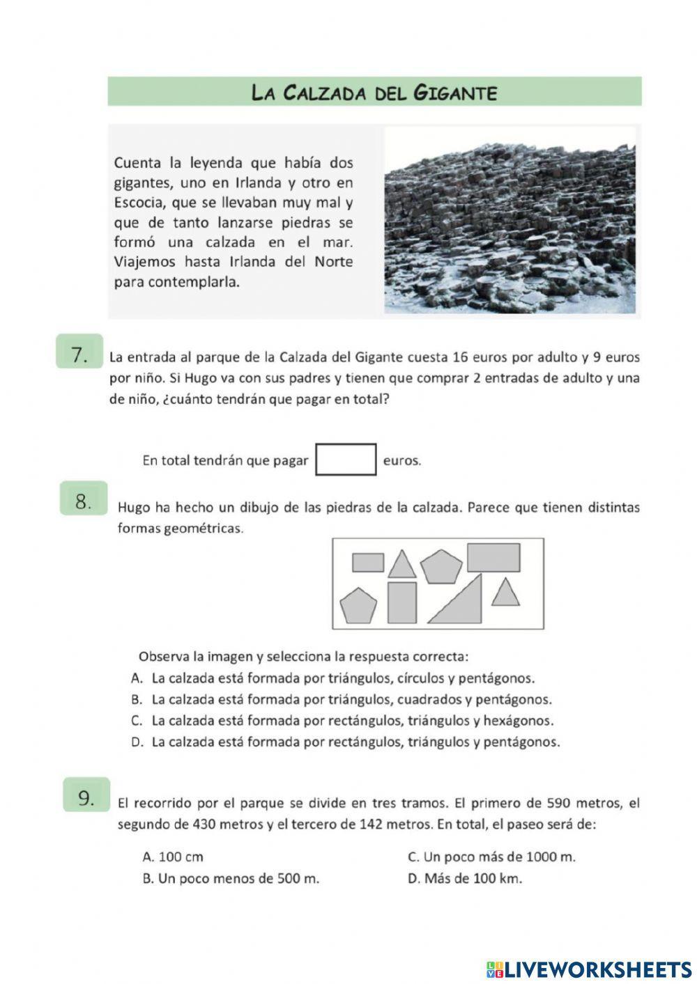 Competencia matemática 1