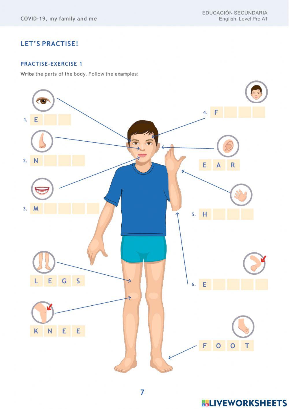 Activity : How to Prevent Covid-19