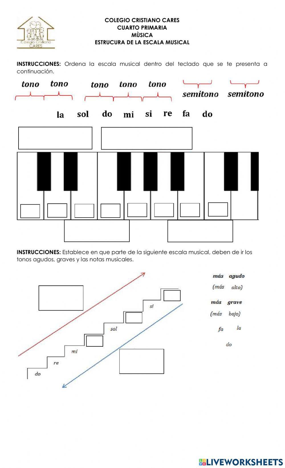 Estructura de la escala musical