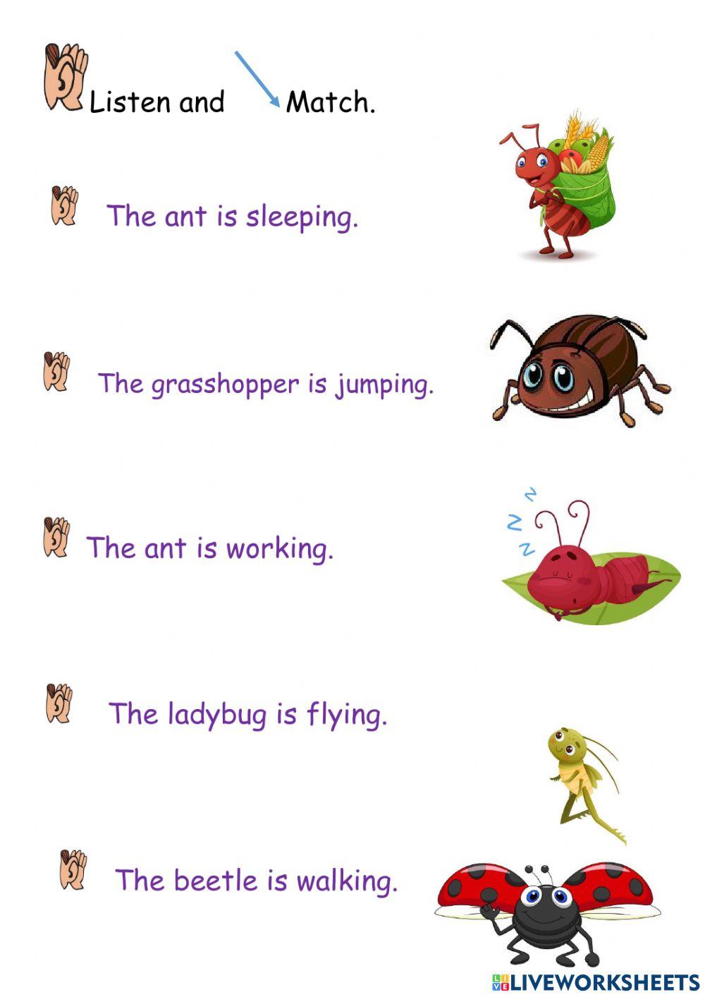 Insects