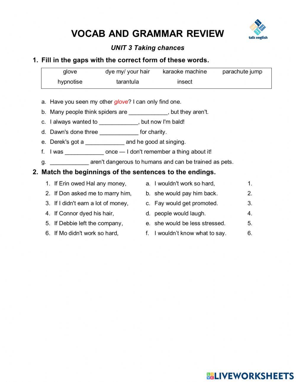 VOCAB AND GRAMMAR REVIEW UNIT 3 Taking chances