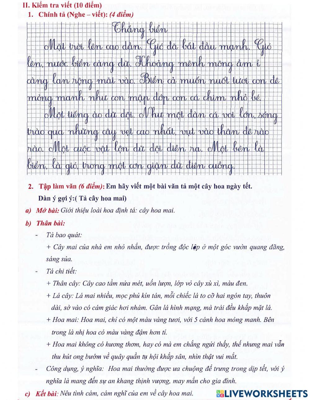 Tiếng Việt 4 - Đề kiểm tra cuối kì số 13