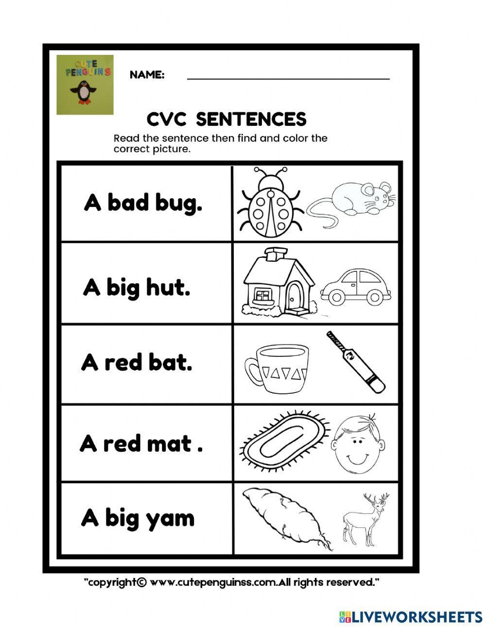 Cvc words & sentences