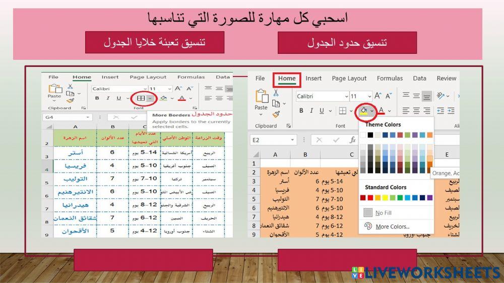 تنسيق الحدود