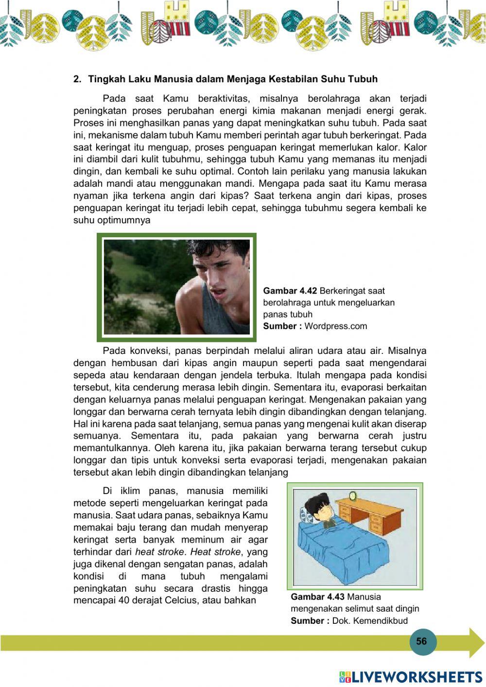 E-modul Suhu dan Kalor