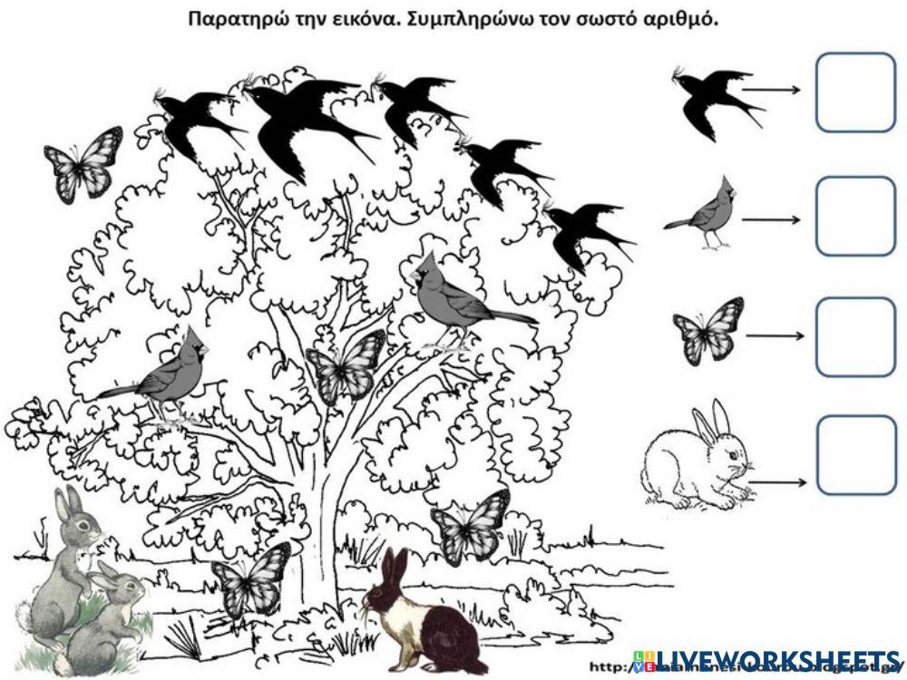 Παρατηρω και μετρω