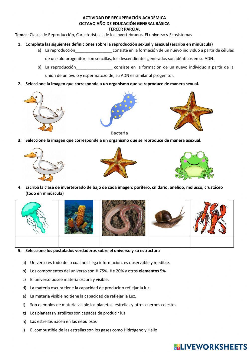 Recuperación Pedagógica