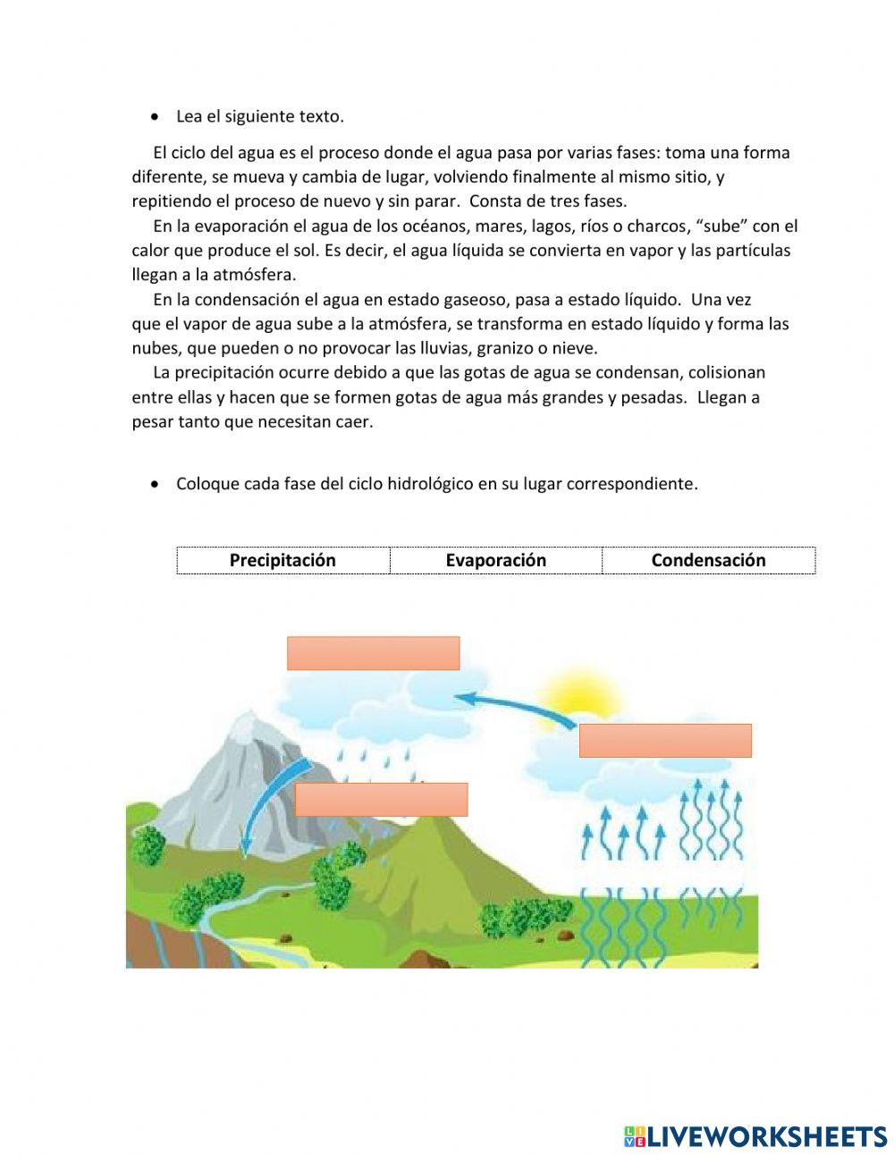 El párrafo y su estructura