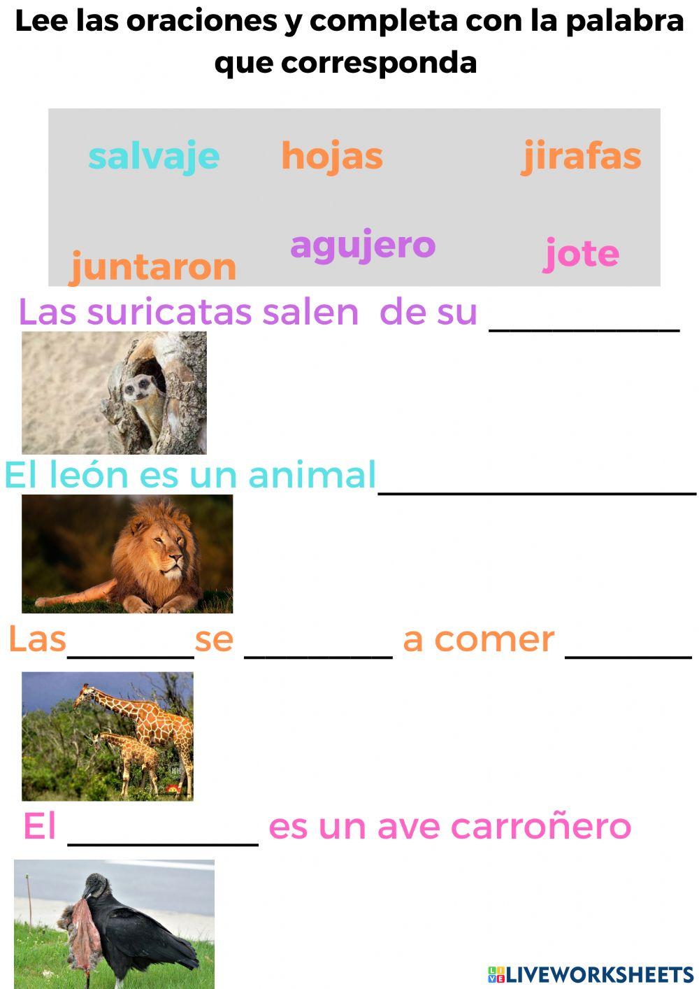 C.sintáctica agregar