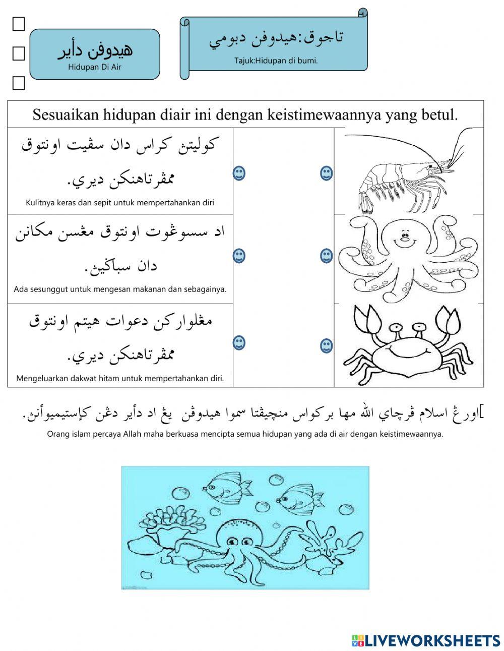 Kejadian alam-hidupan di air