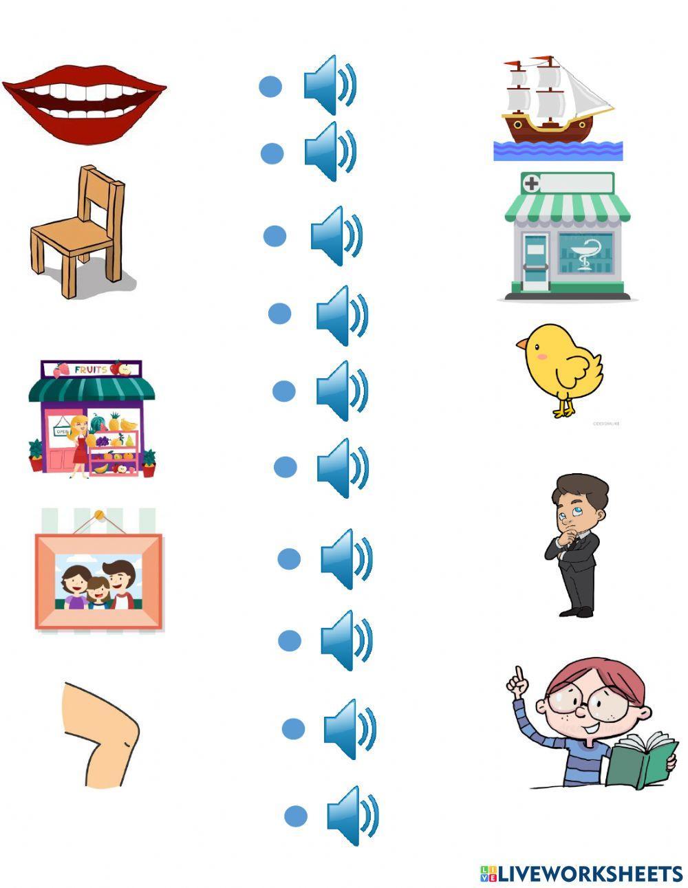 Digraphs sh, ch, th, ph, kn for kids