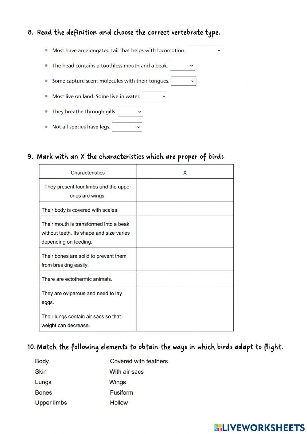 Vertebrates interactive activities