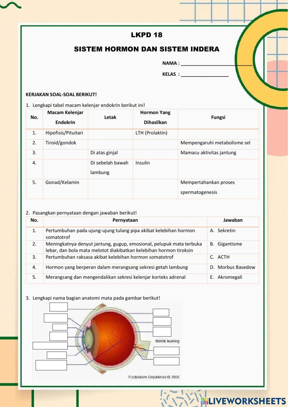 LKPD 18 Sistem Hormon dan Sistem Indera