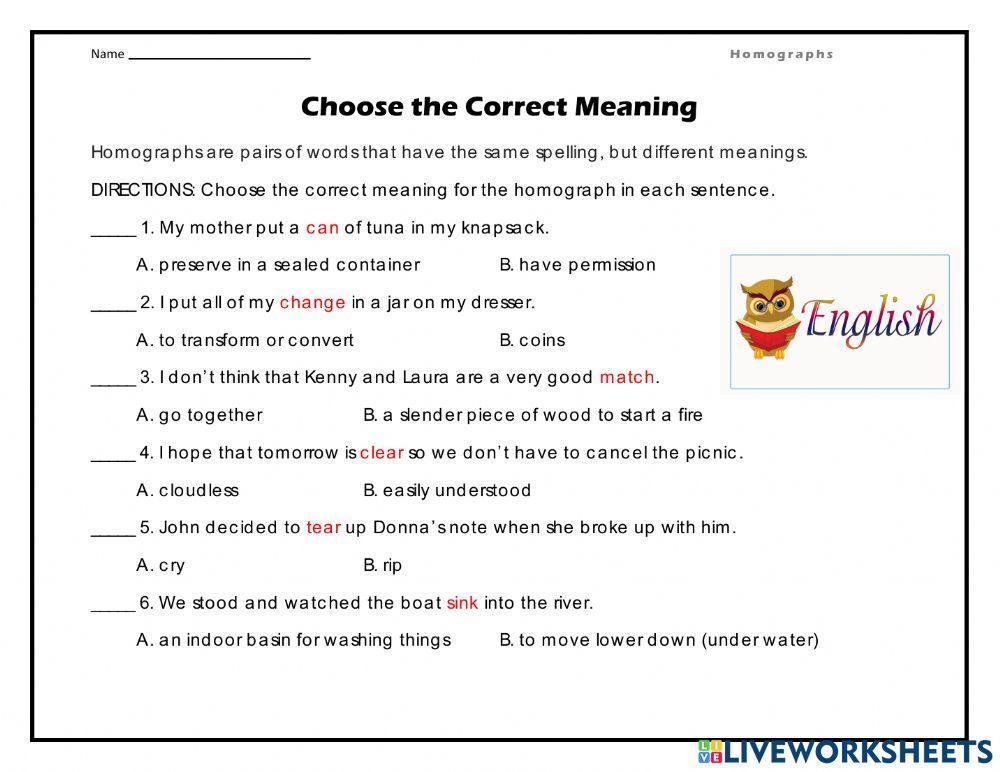 Homographs Practice