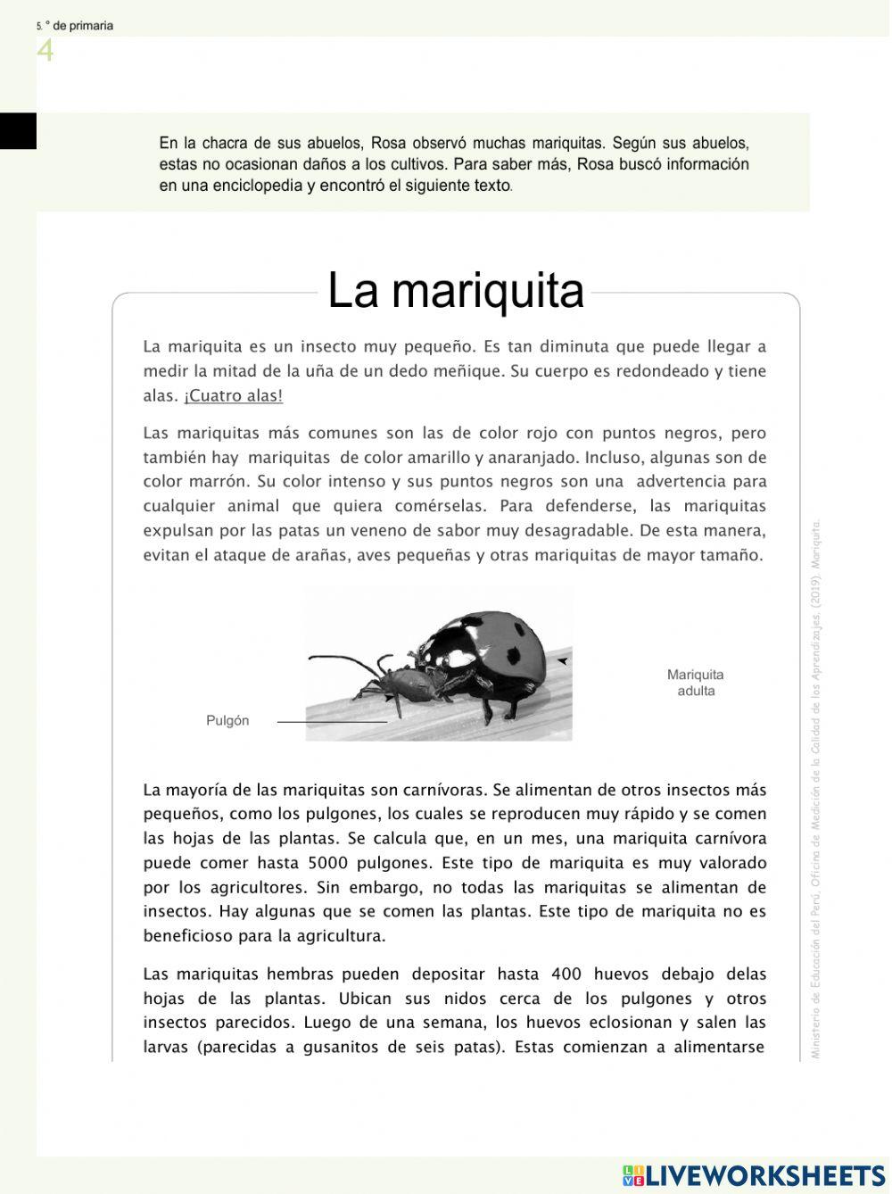 Evaluacion Comunicacion