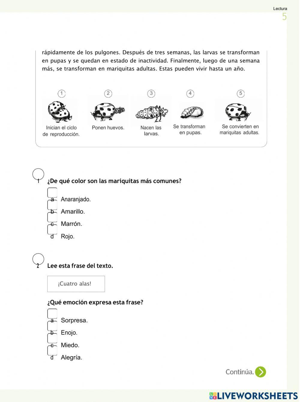 Evaluacion Comunicacion