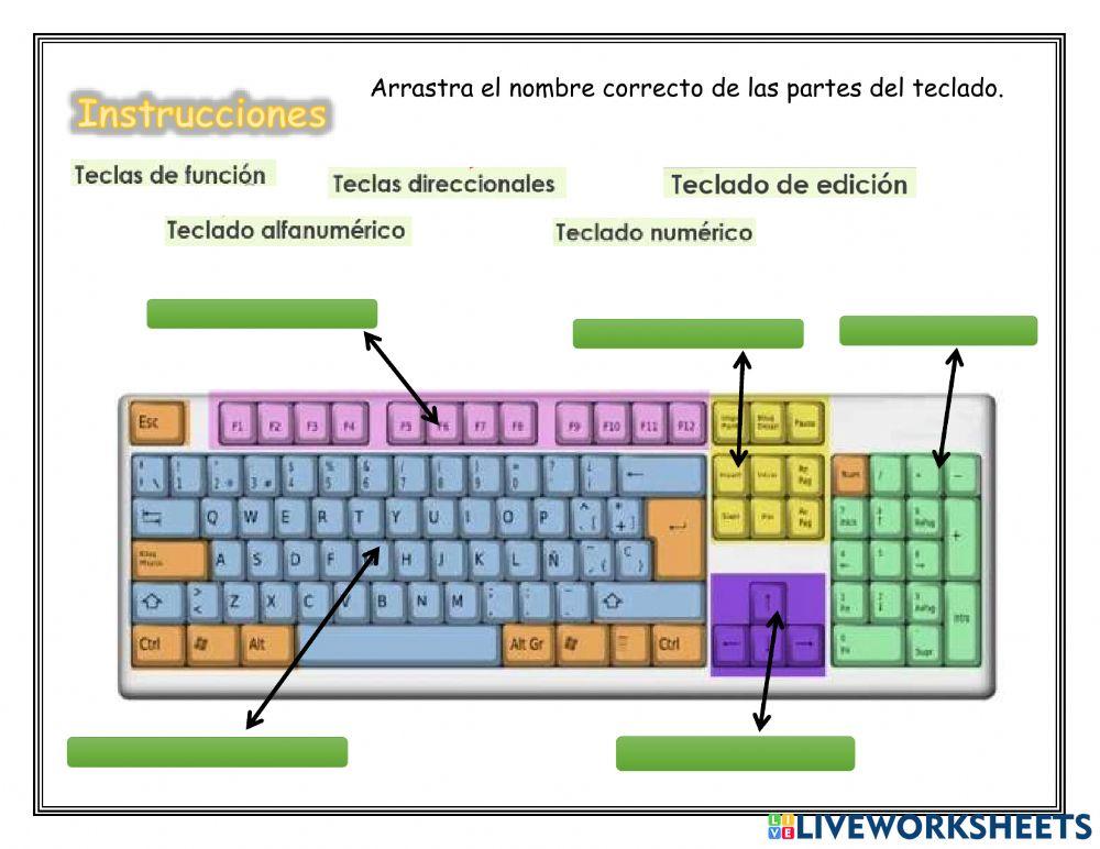 Partes del teclado