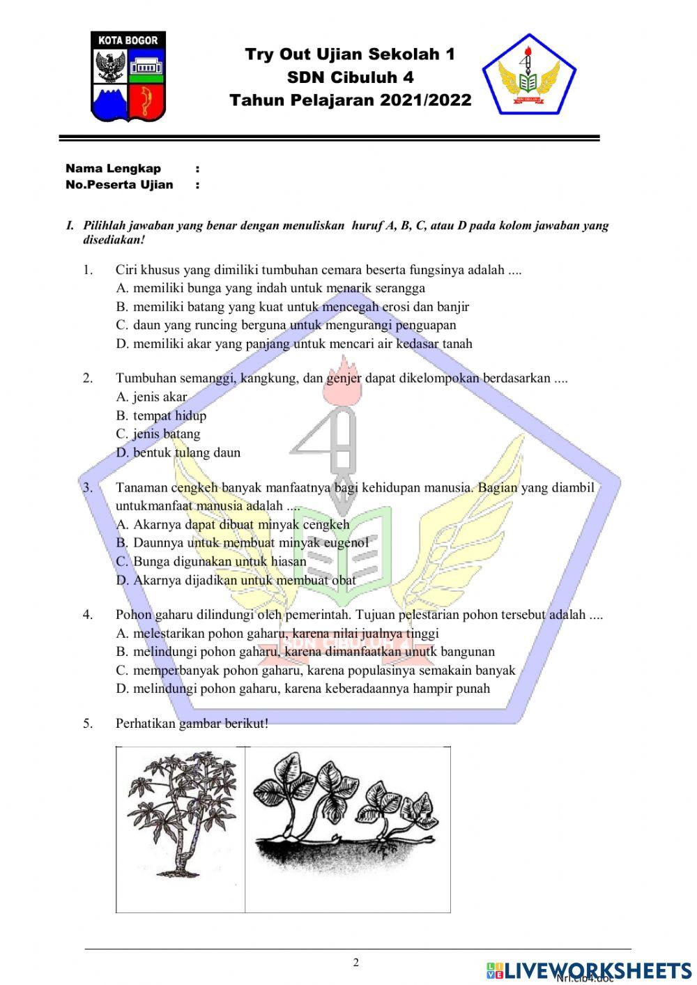 Try Out Ujian Sekolah IPA Try Out Ujian Sekolah IPA