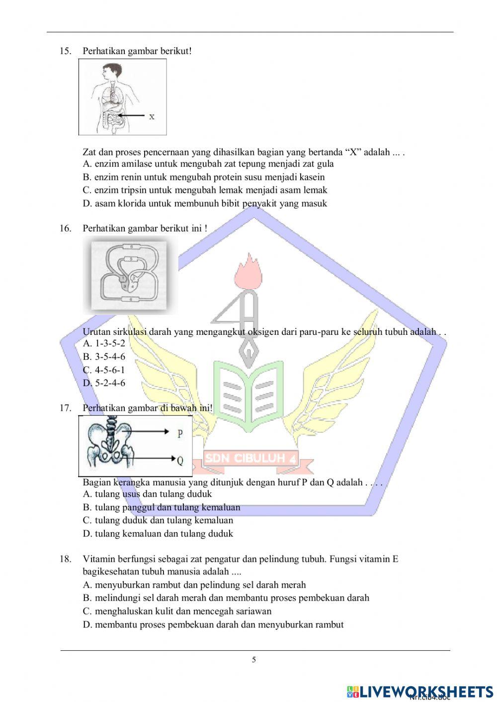 Try Out Ujian Sekolah IPA