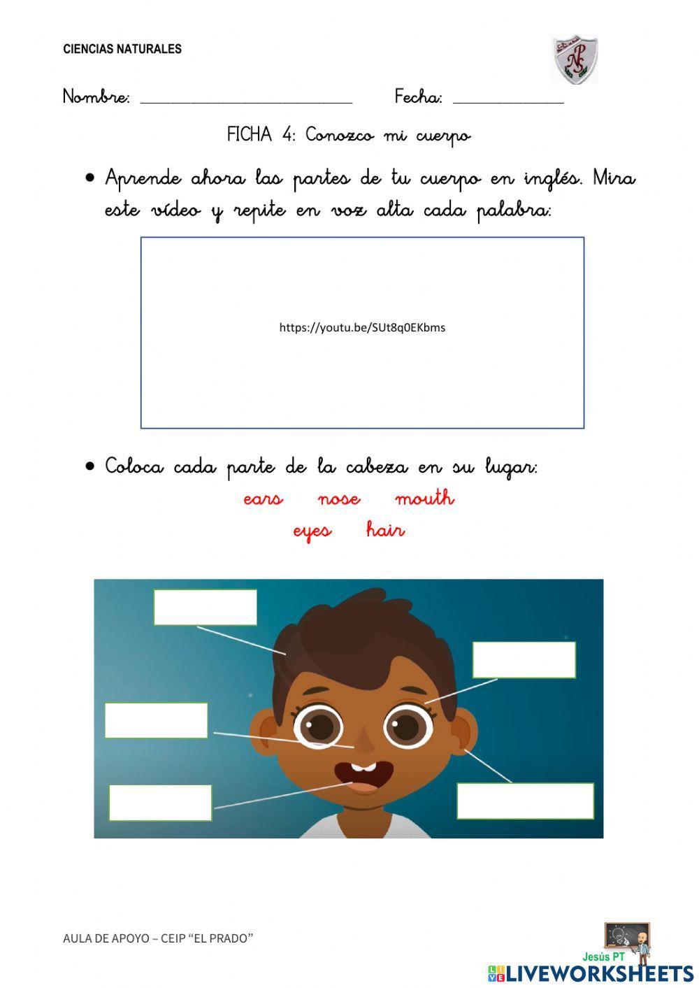 Ficha 4 Conozco mi cuerpo-1EP-Ciencias Naturales