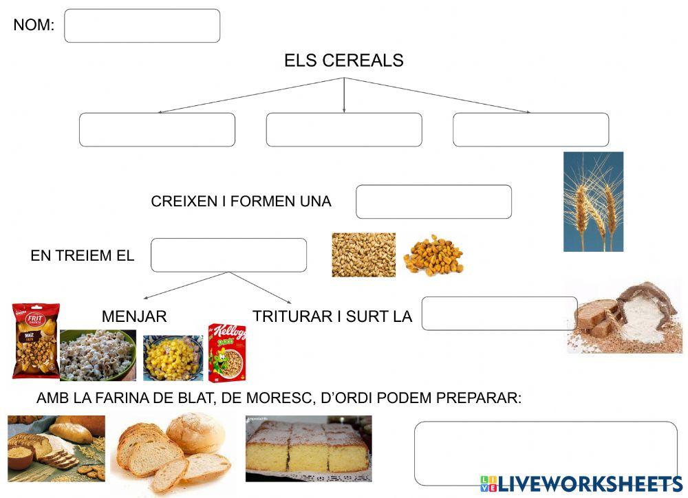 Mapa cereals