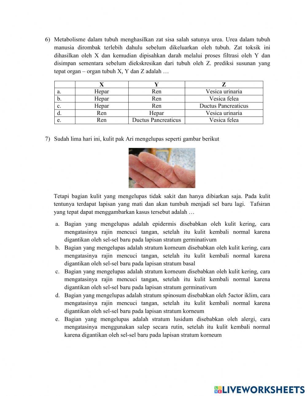 Rancangan Postes Pertemuan 1