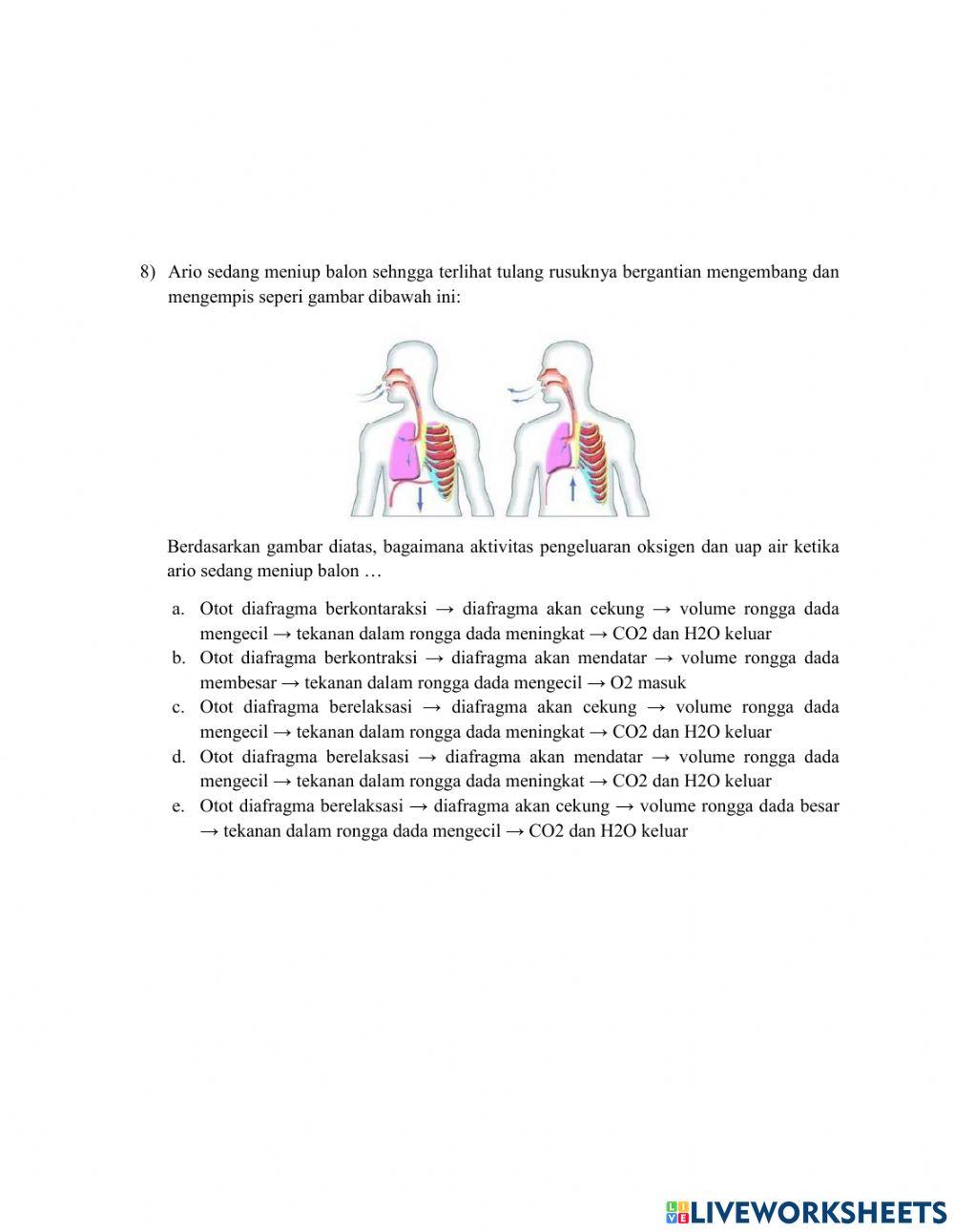 Rancangan Postes Pertemuan 1