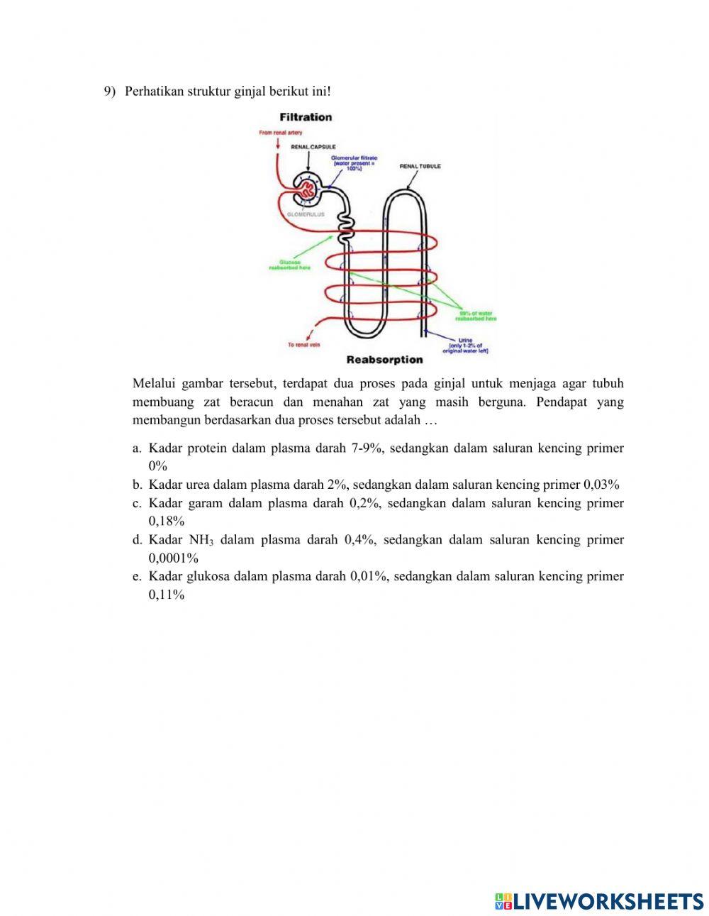Rancangan Postes Pertemuan 1
