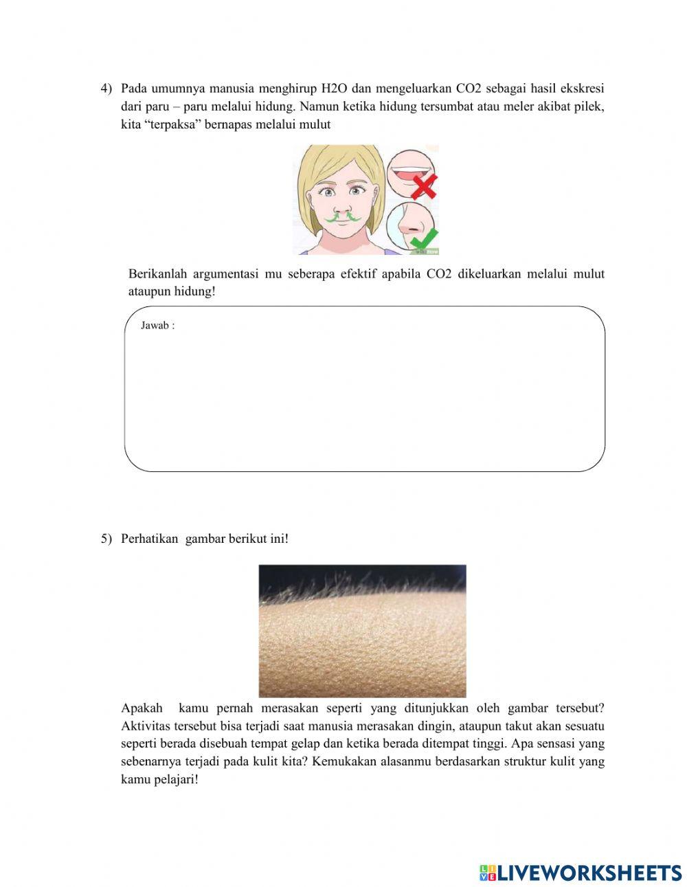 Rancangan postes pertemuan 1