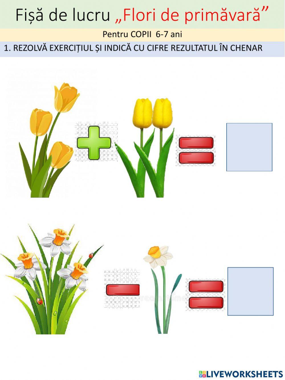 Fișa Plante de primăvară