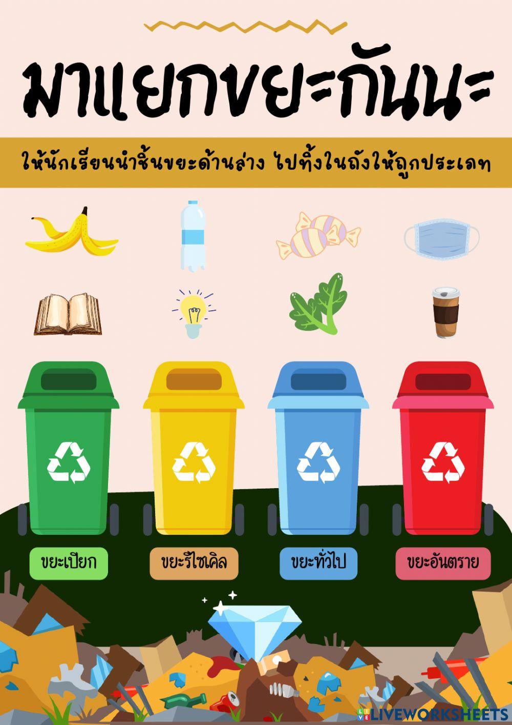 การแยกขยะ