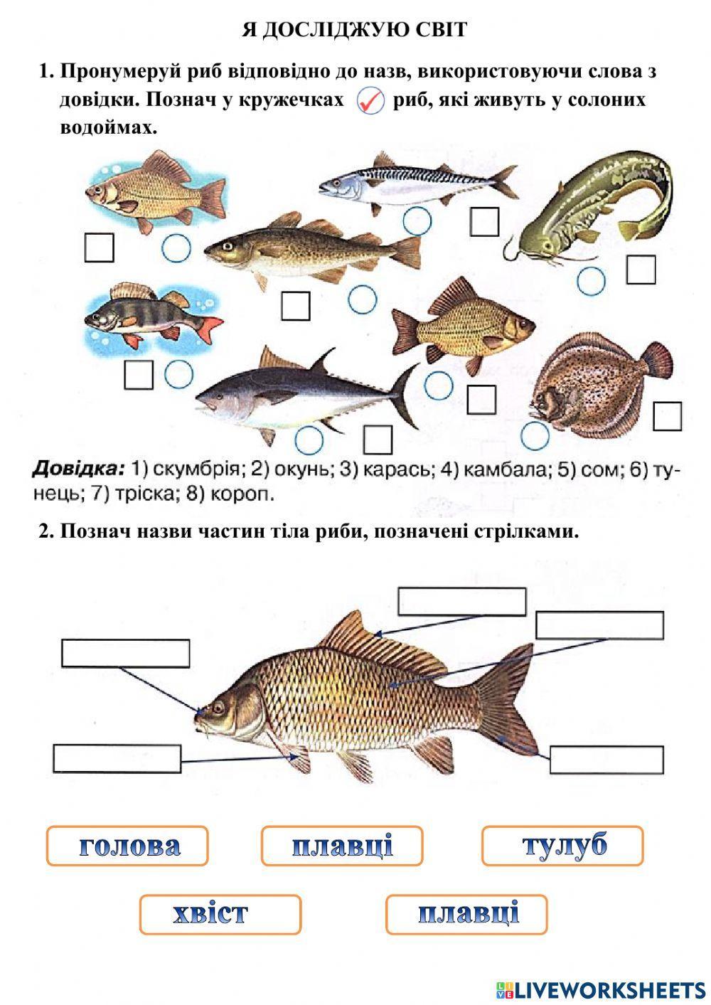 Мешканці водойм