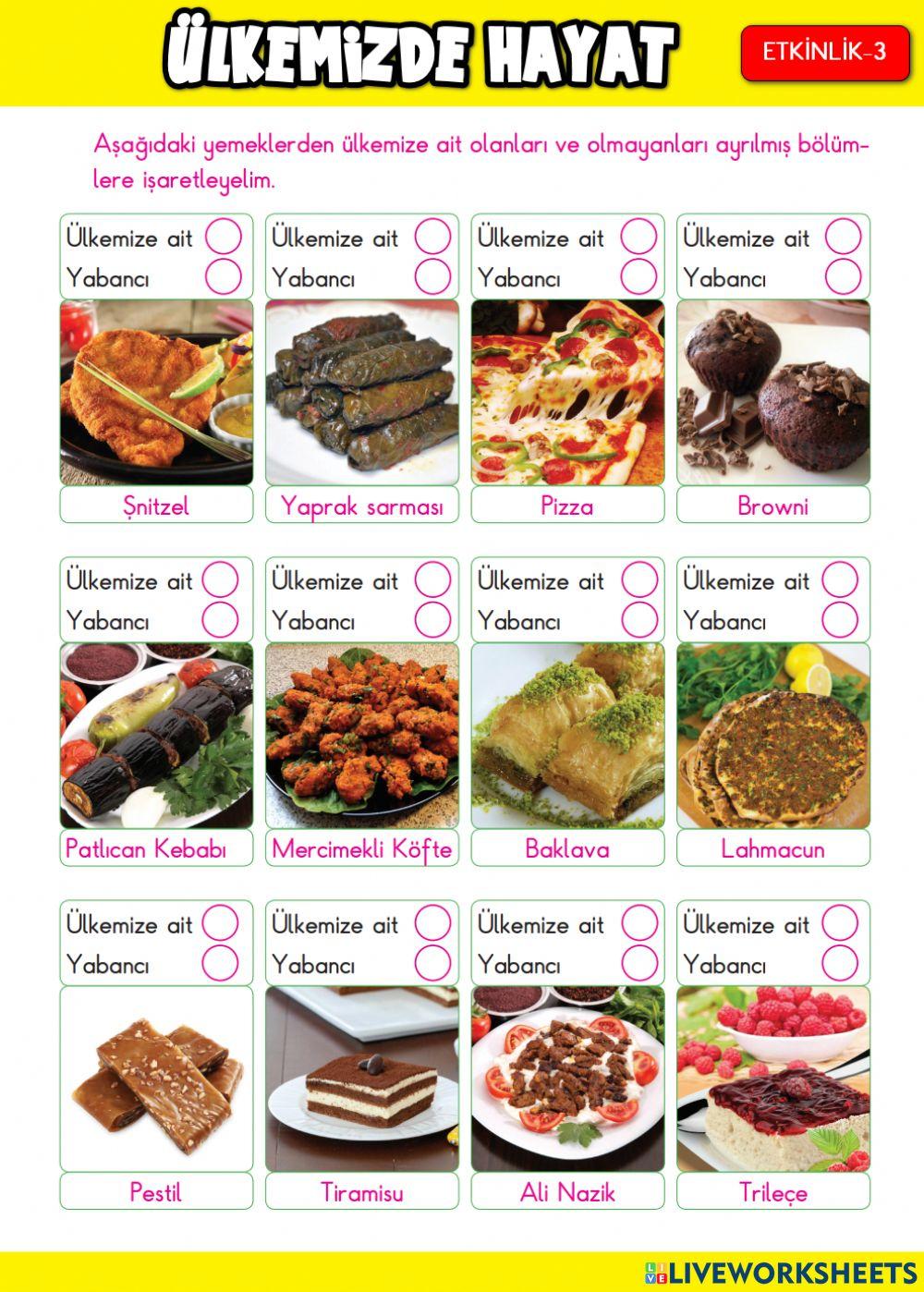 Ülkemizde Hayat Etkinlik-3