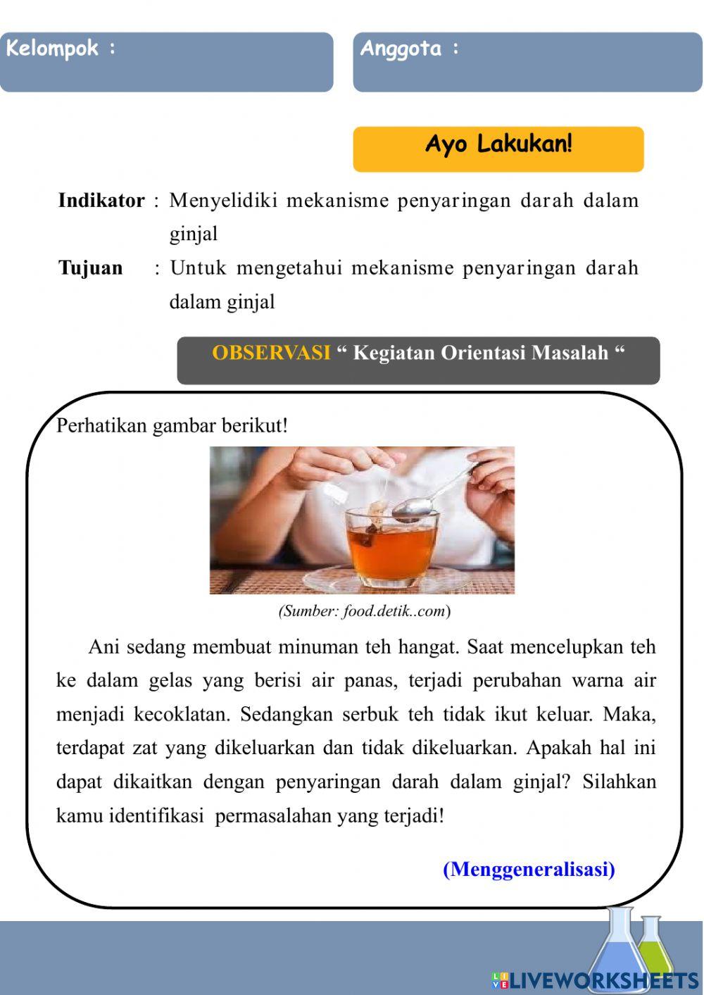 Penyaringan darah dalam ginjal