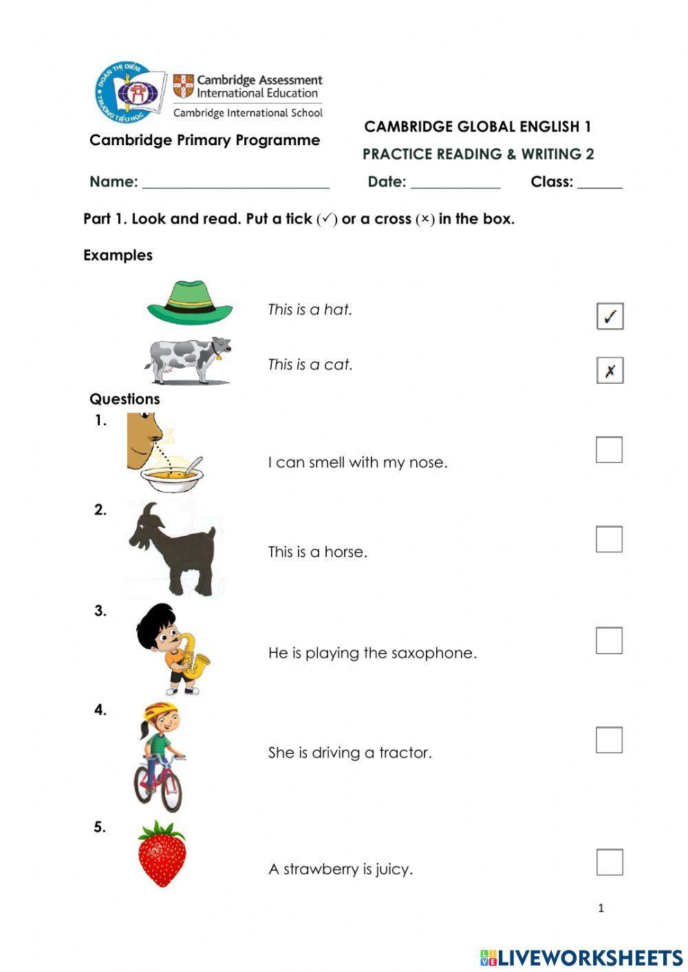 CGE1-Review U5-6-RW-WS2