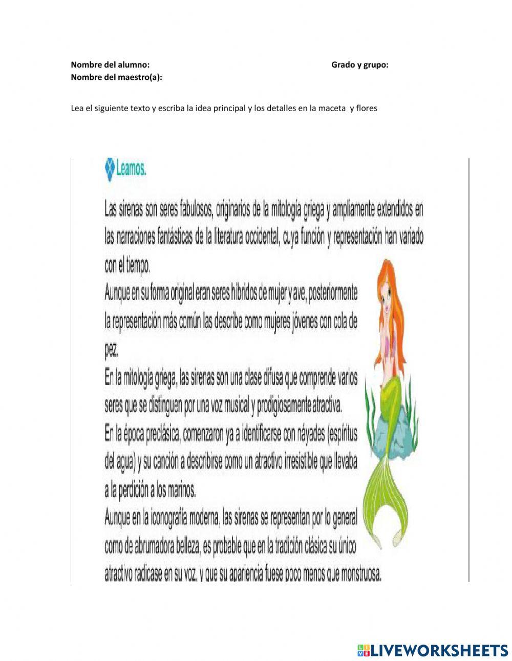 Usar fichas temáticas como material de estudio