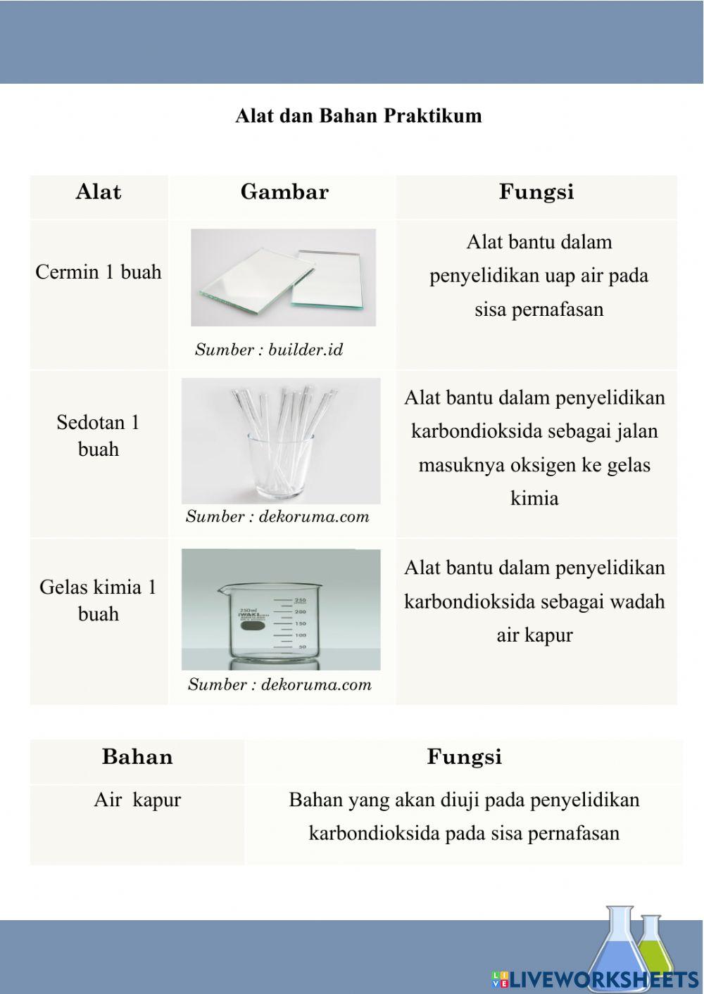 Sisa metabolisme paru-paru