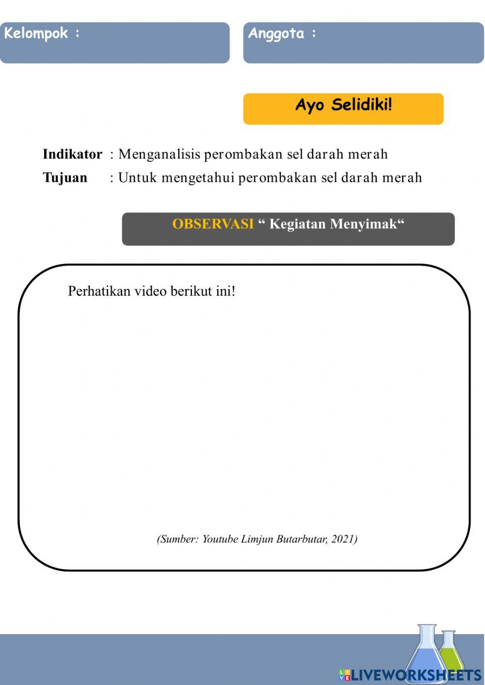 Perombakan sel darah merah