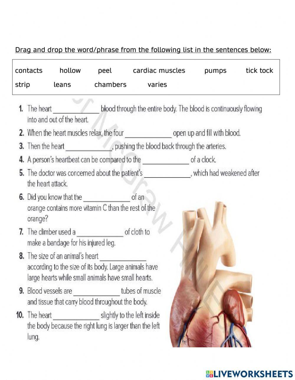 12 A- Chapter6-Listening vocab