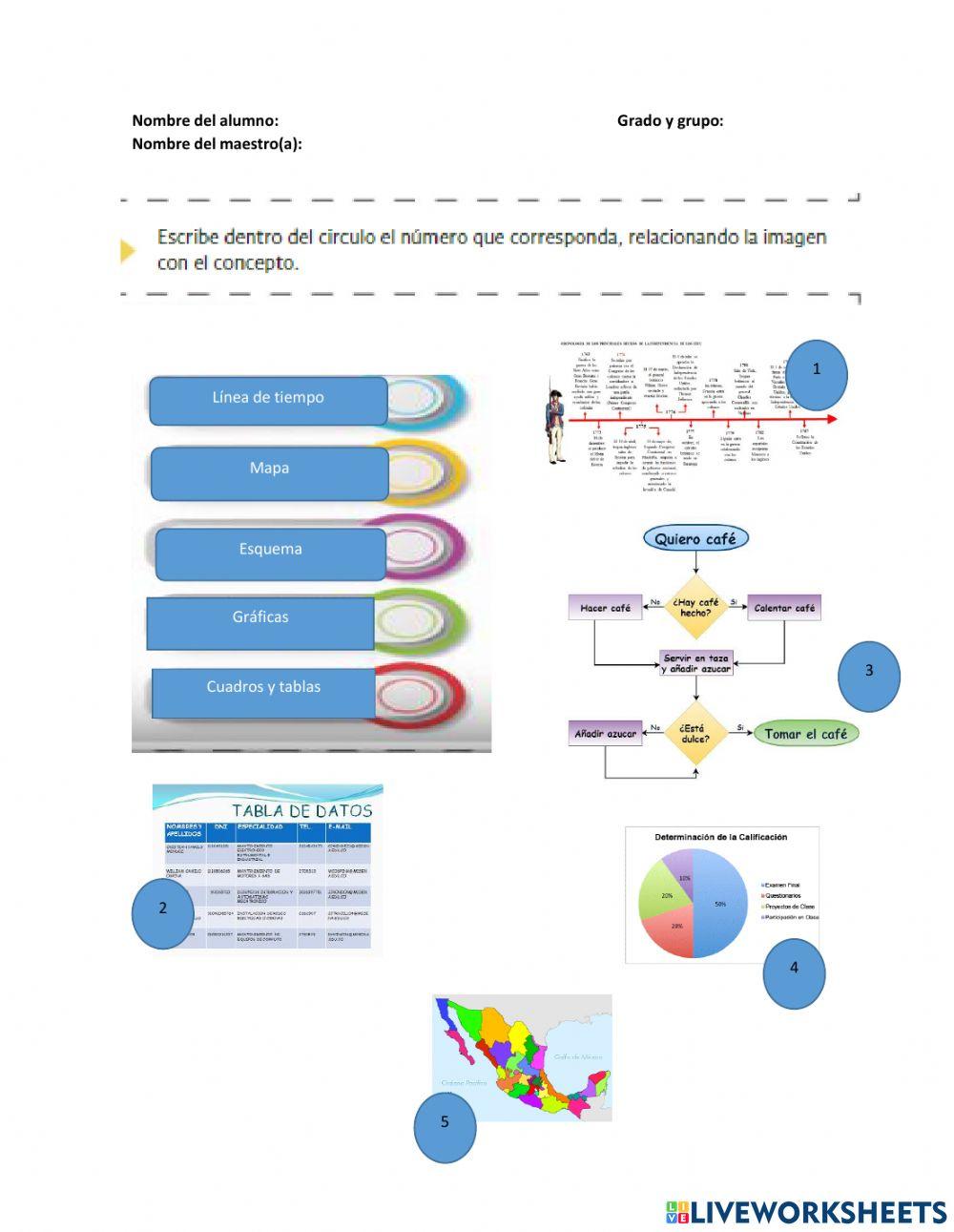Uso de fichas temáticas como material de estudio