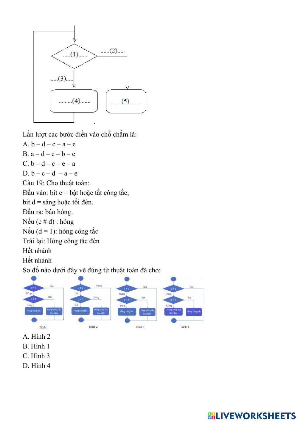 Cấu trúc rẽ nhánh trong thuật toán