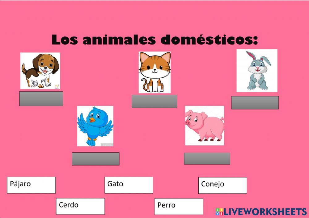 Los animales domésticos