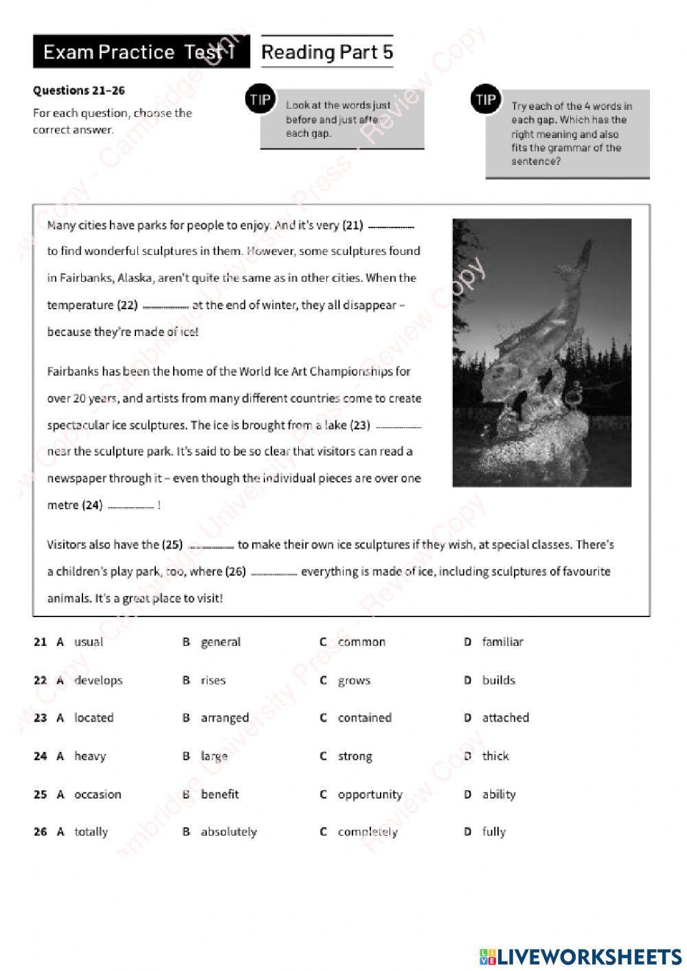 PET exam - Reading part 5