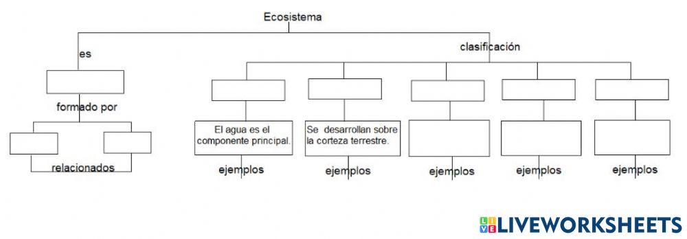 ¿Qué son los ecosistemas?