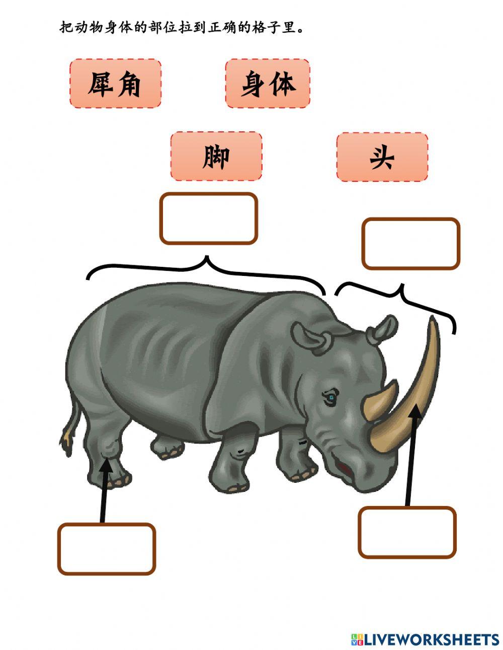 一年级科学-动物身体的部位1
