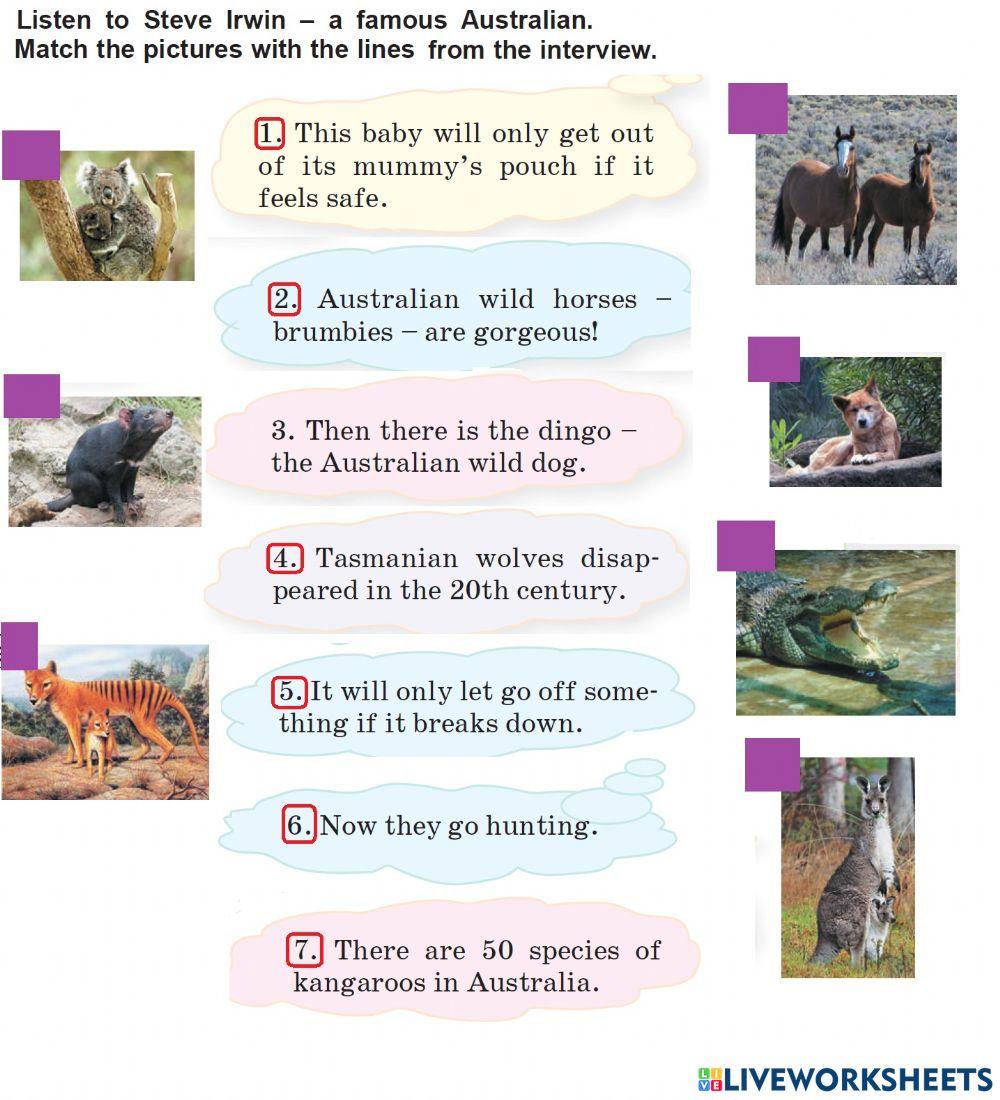 Australian animals U8 L5