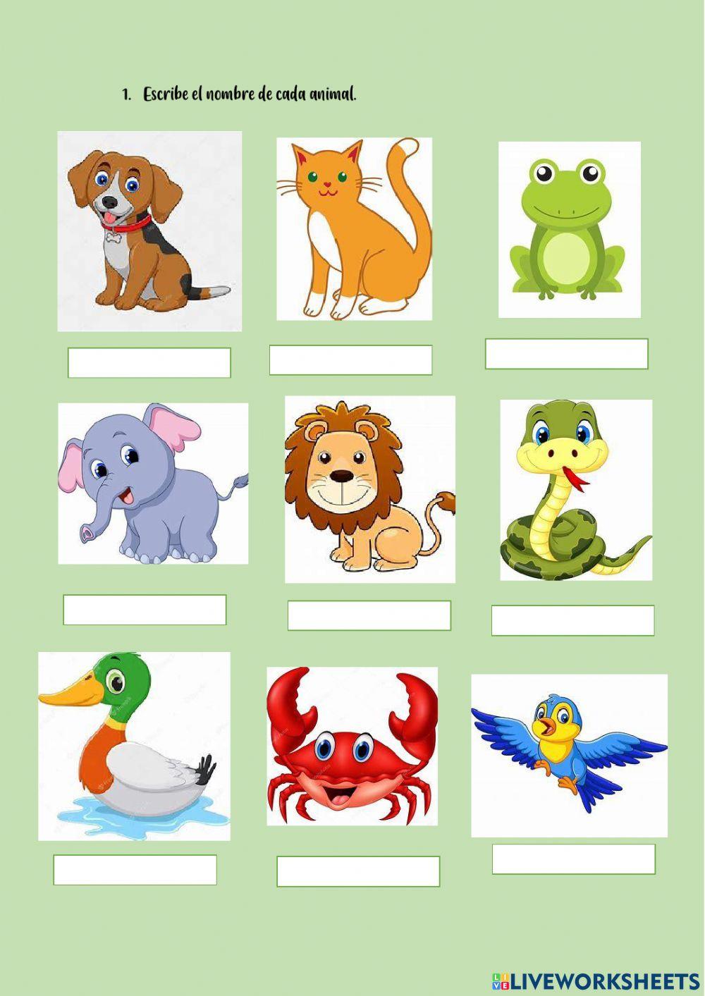 Cuadernillo actividades: animales y plantas