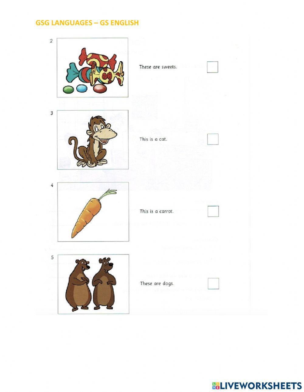 Skills Builder For Cambridge - Starters - Reading Part 1 - Test 3