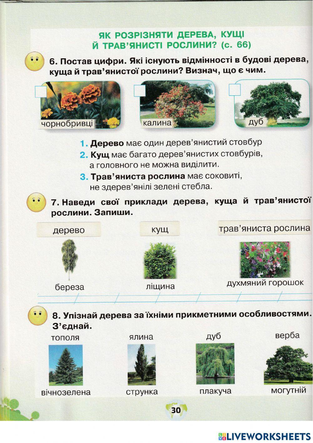 ЯДС Грущинська 1 клас